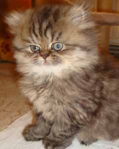 Jos�phine Princesse